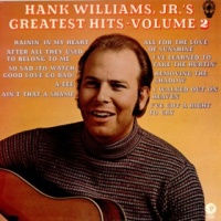 Hank Williams, Jr. - Greatest Hits, Vol. 2